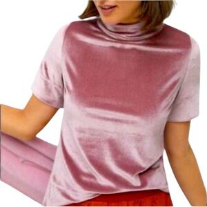 Anthropologie Dusty Rose Blush Krisha Velvet Mock Neck Top Short Sleeve size Med